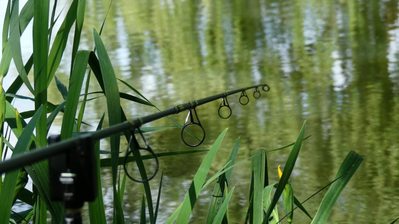 Rum Bridge Fisheries "The Cabin" Hotel Clare Екстериор снимка