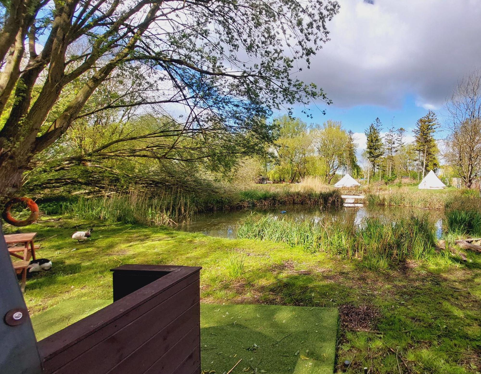 Rum Bridge Fisheries "The Cabin" Hotel Clare Екстериор снимка