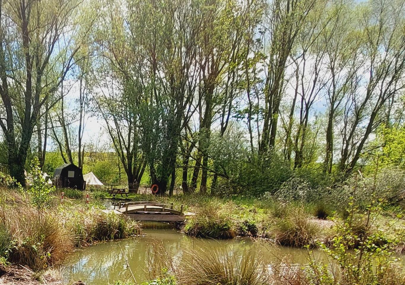 Rum Bridge Fisheries "The Cabin" Hotel Clare Екстериор снимка
